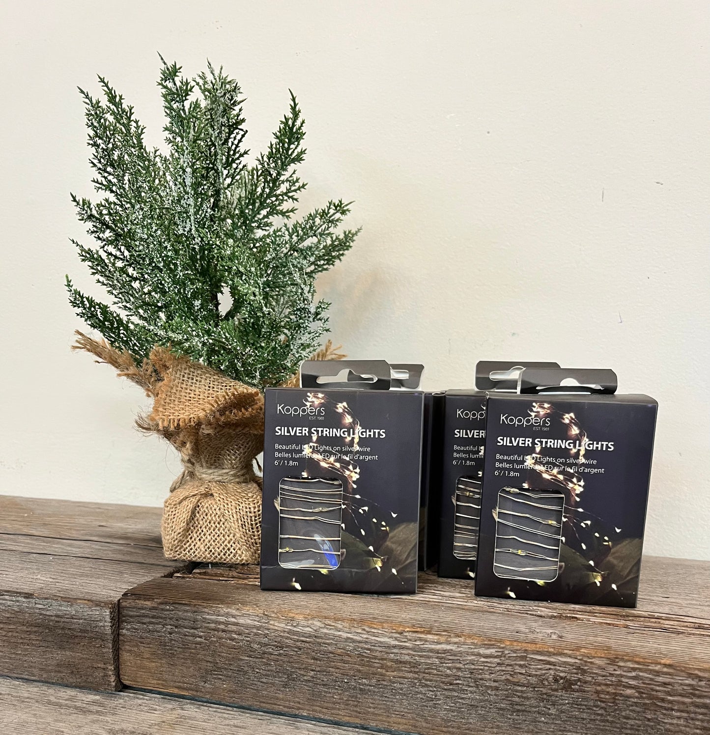 Silver String Lights