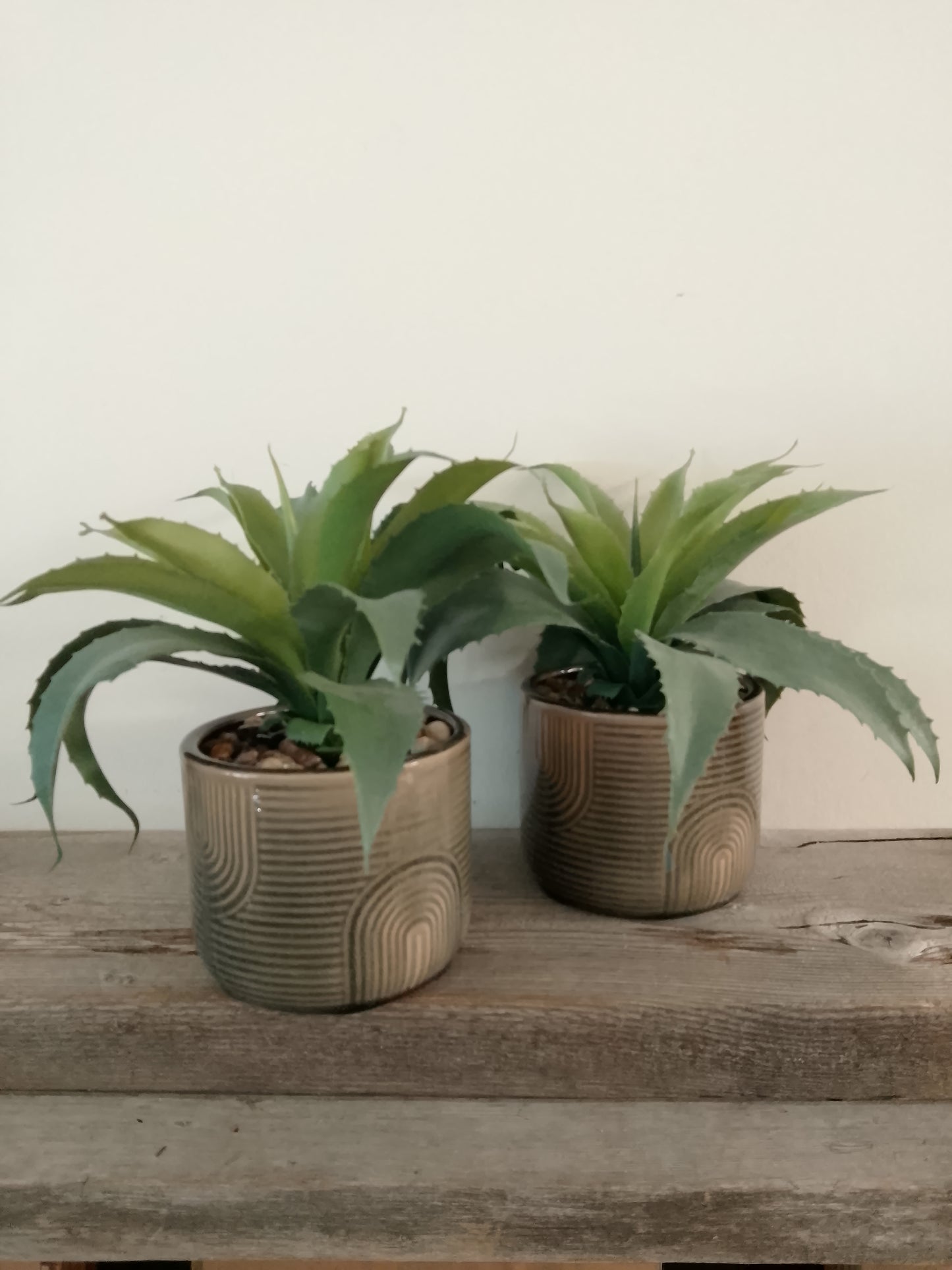 Ceramic plant fall
