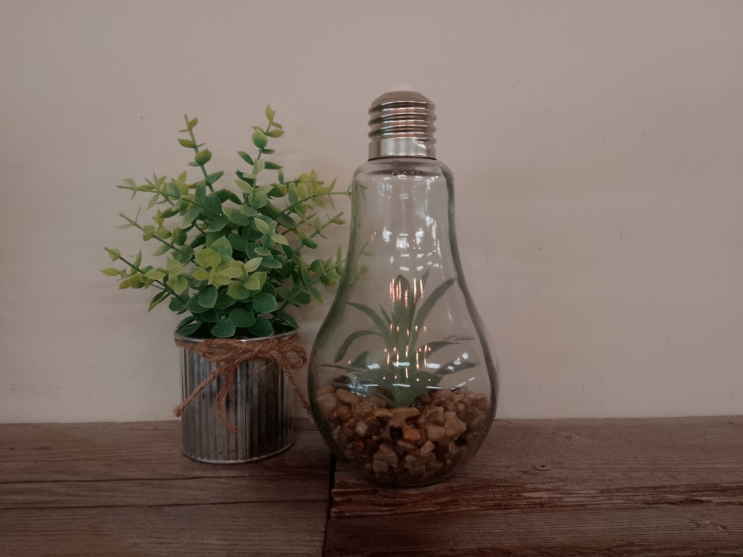 Lightbulb Terrarium