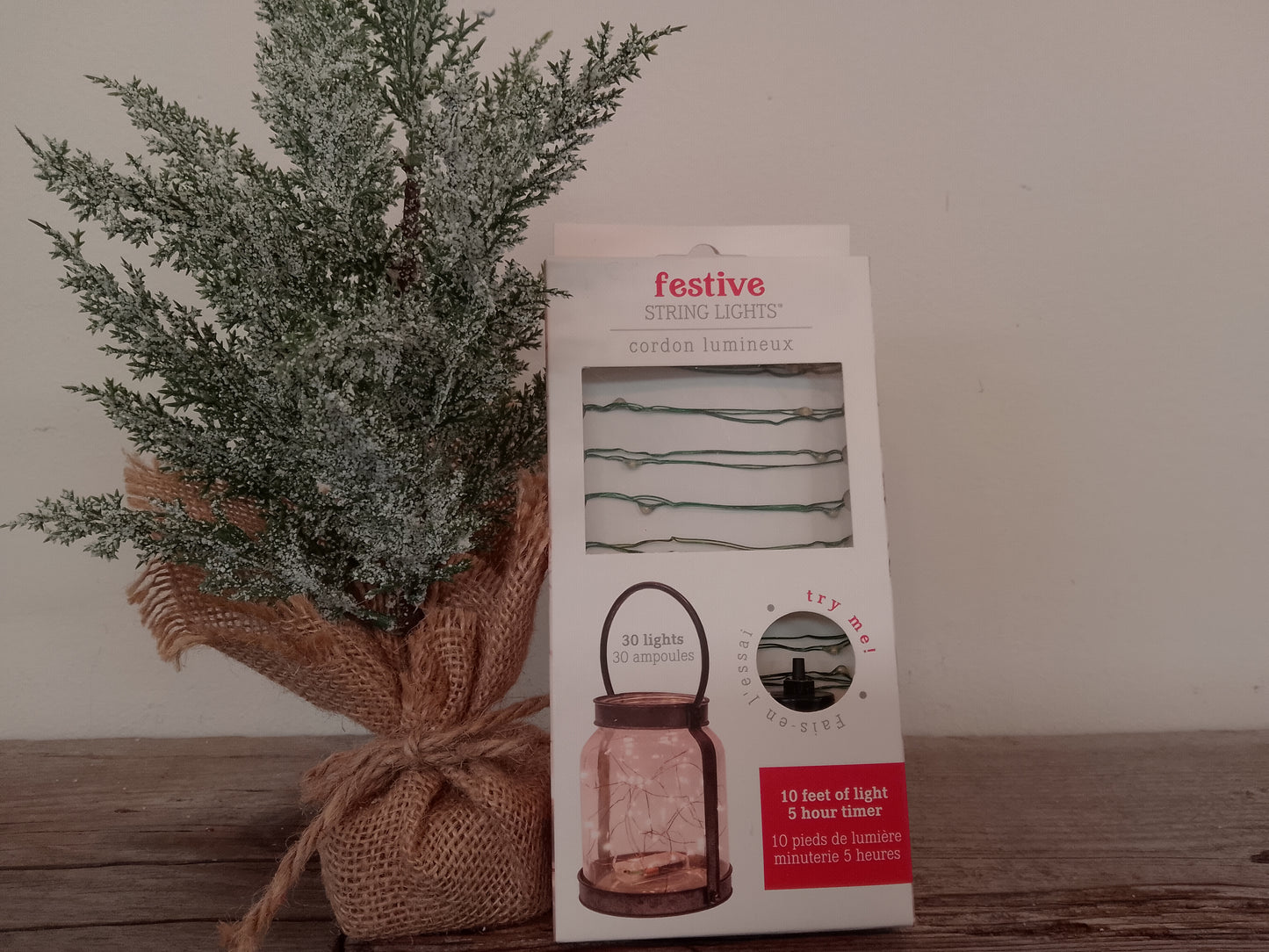 White String Lights (10')