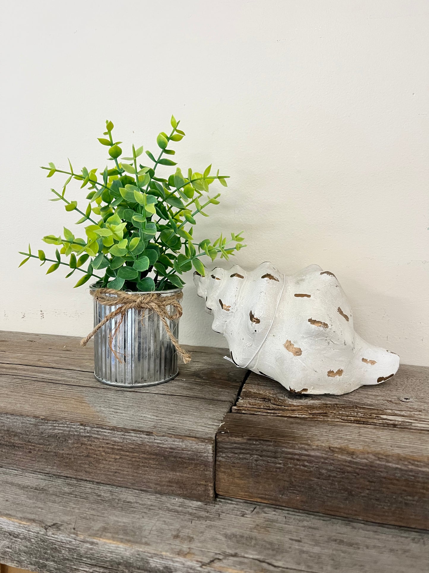 Ceramic Seashell