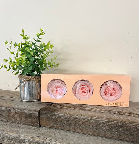 Dried Roses