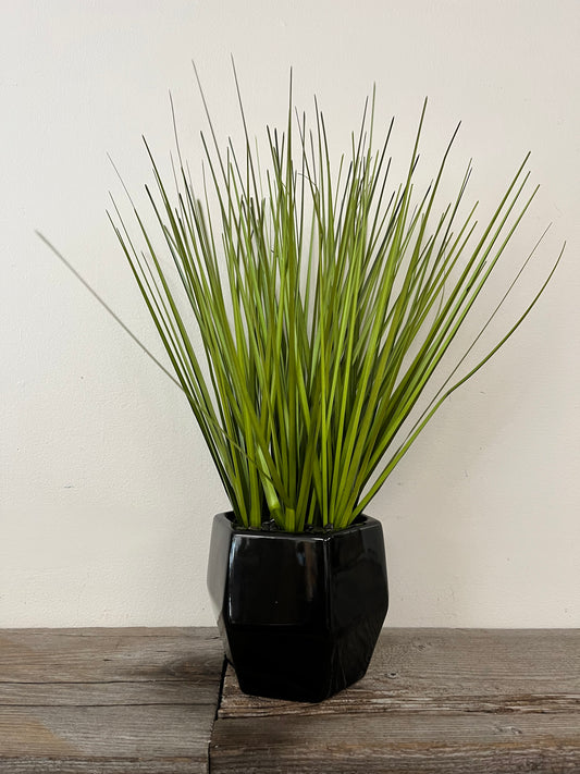 Spiked Artificial Plant in Ceramic Pot