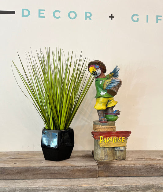 “Paradise” Parrot