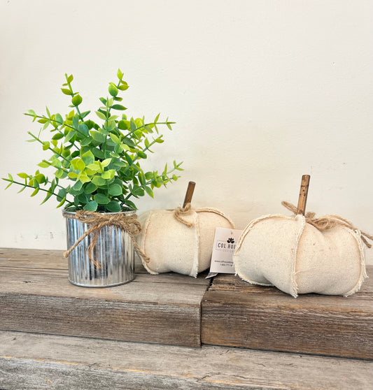 Cloth Pumpkins (Cream)