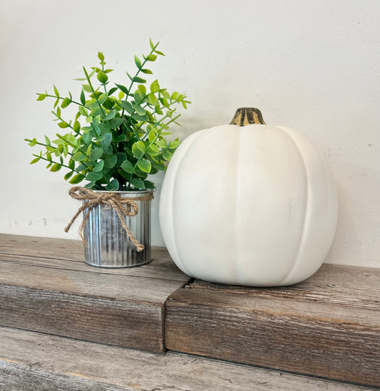 Cream Pumpkin