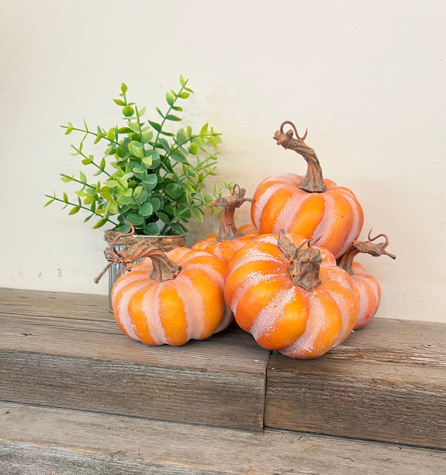 Small Pumpkins (Individual)