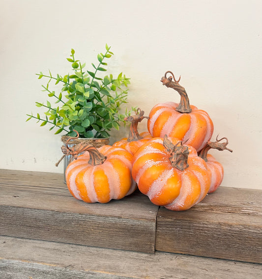 Small Pumpkins (Individual)
