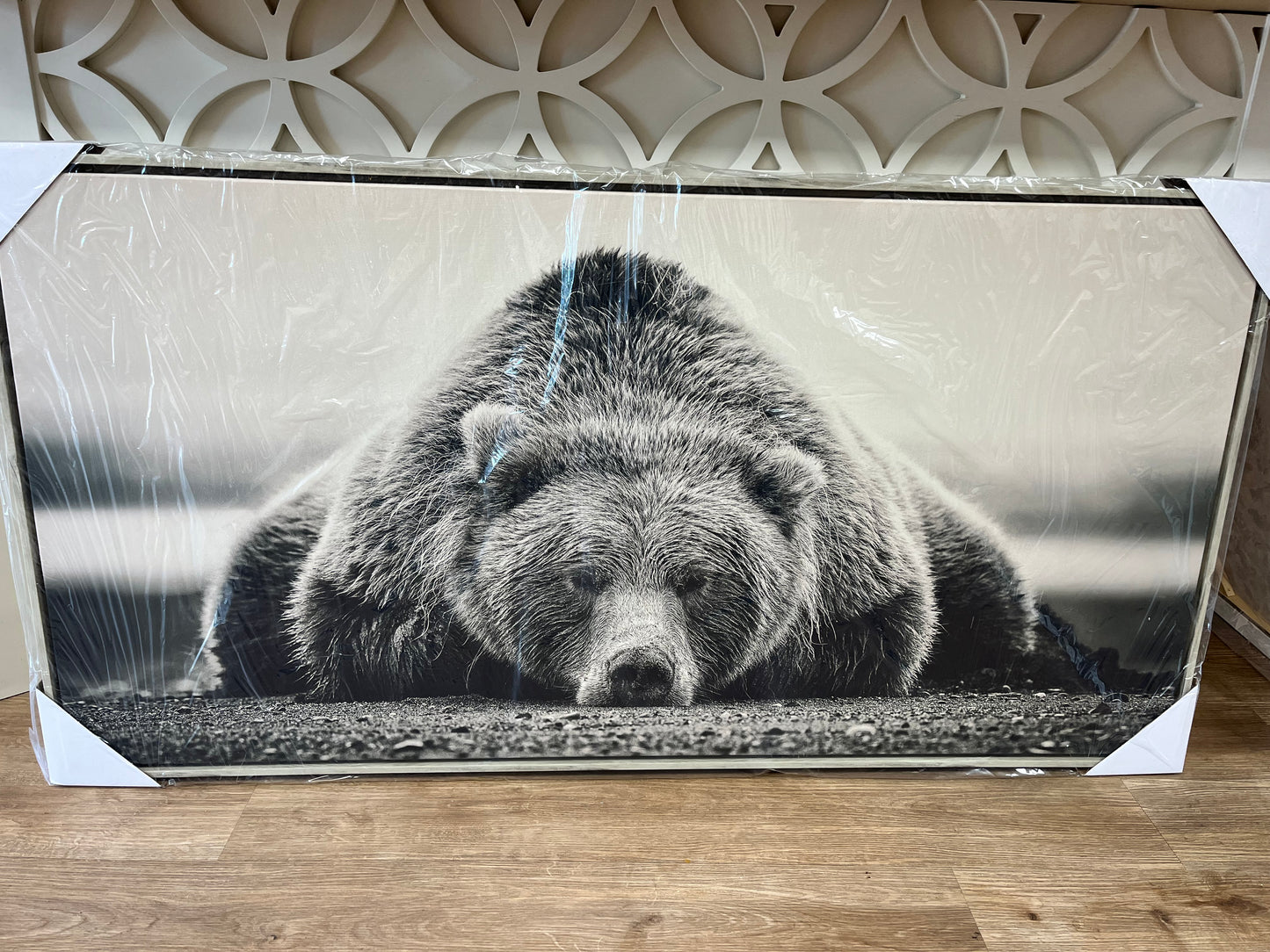 “Bear” Canvas