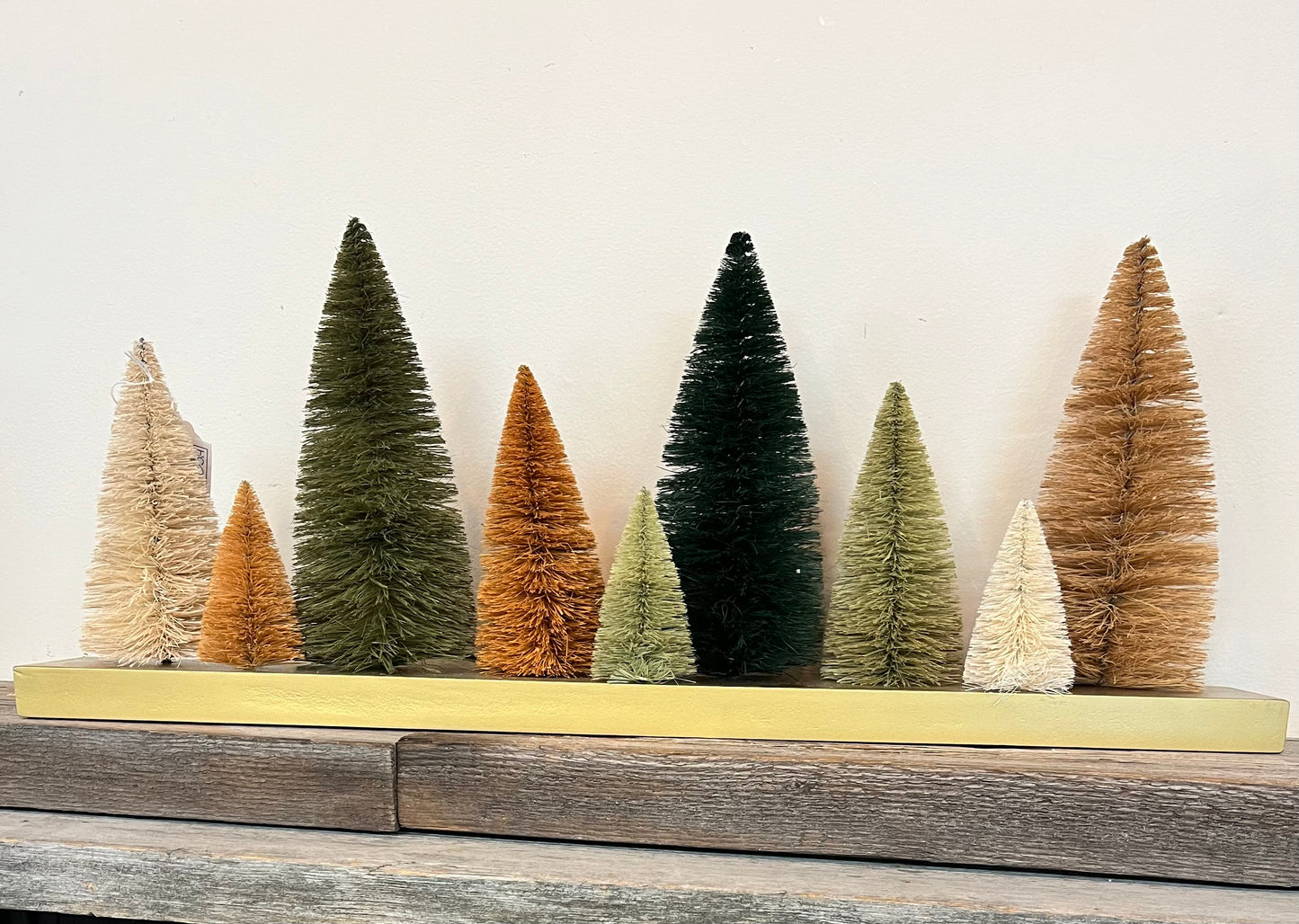 Long Bottle Brush Tree Scene
