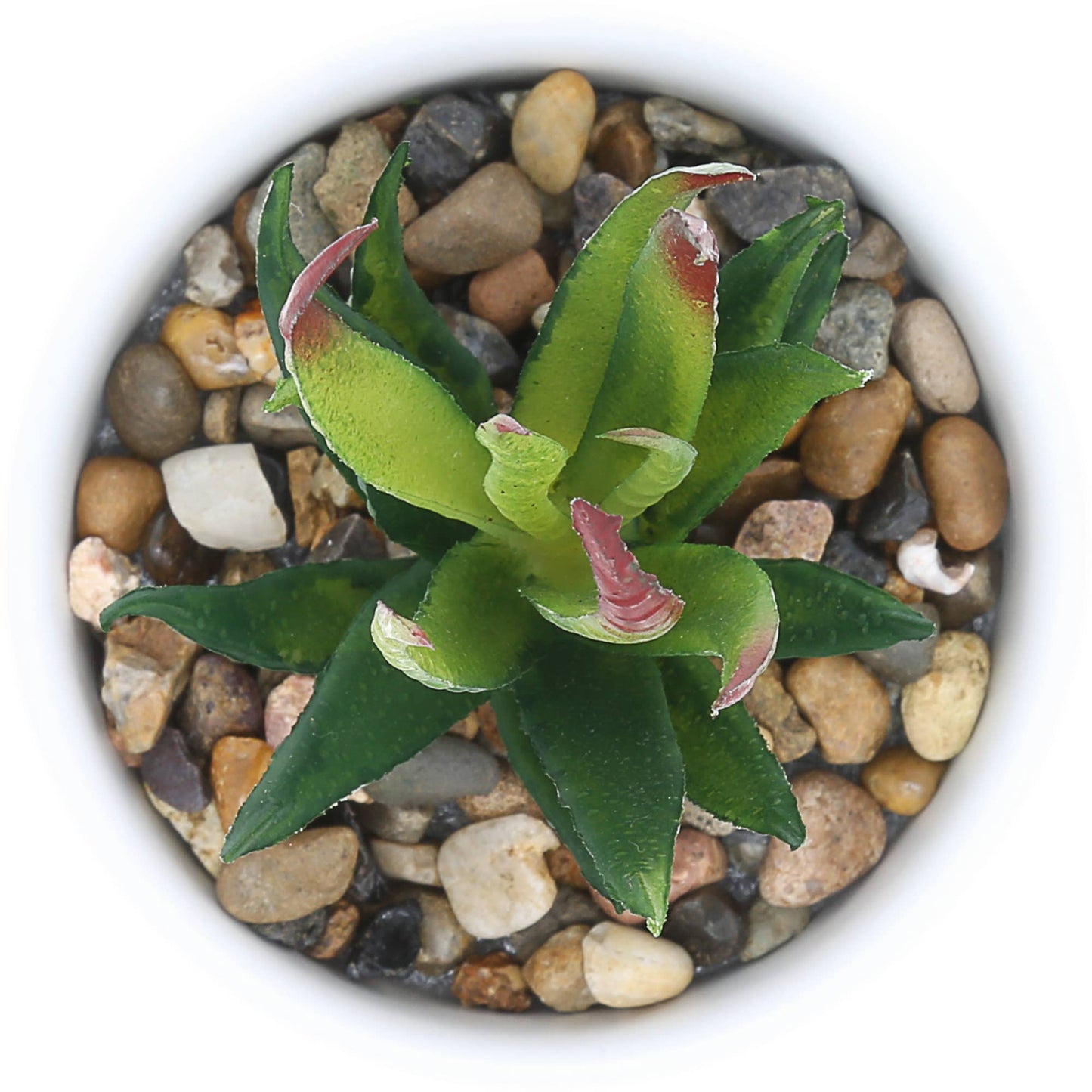 “Beach” Artificial Potted Plant