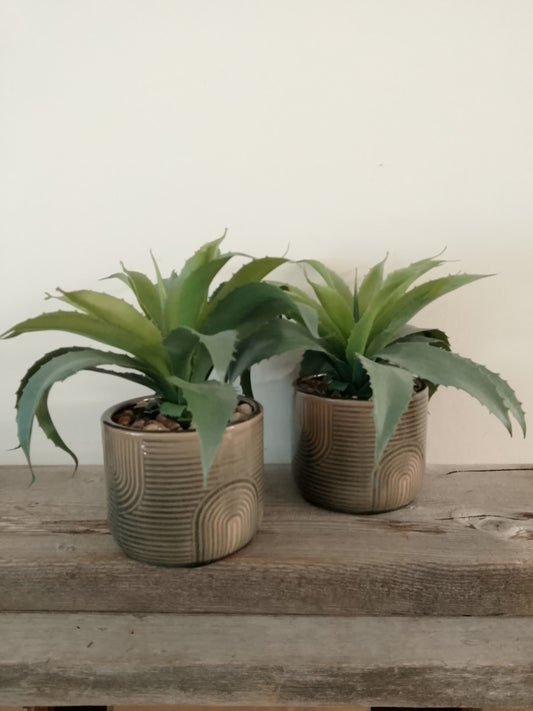Ceramic plant fall