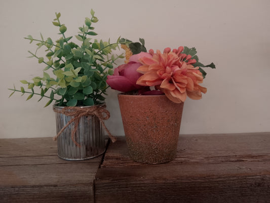 Fall plant