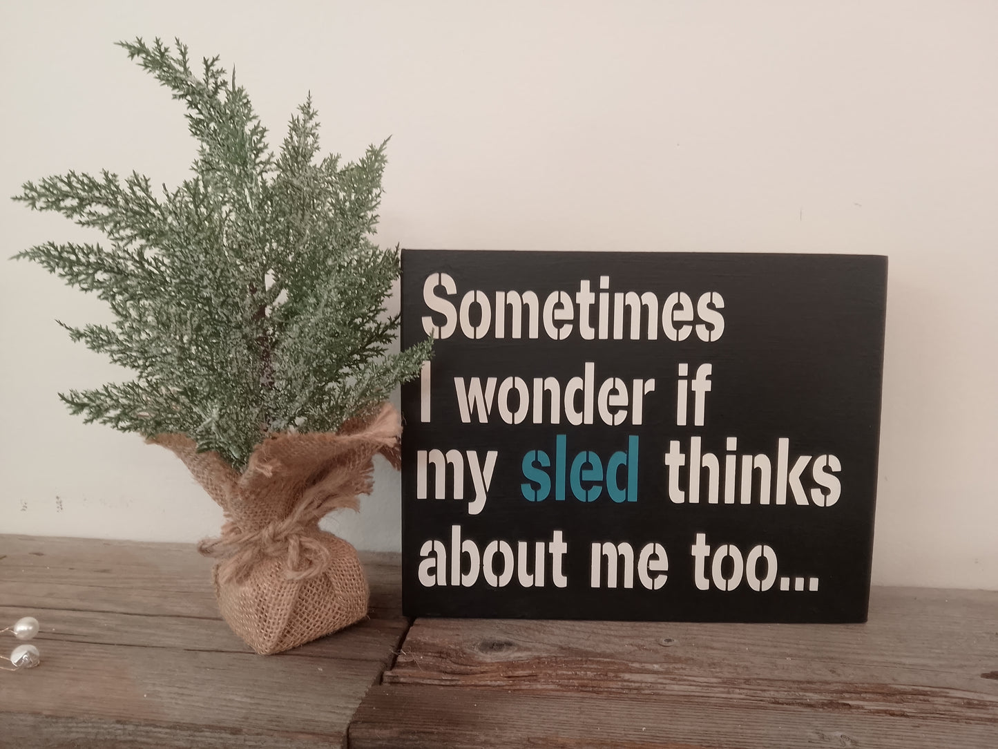 "Sometimes I wonder if my Sled" Block Sign