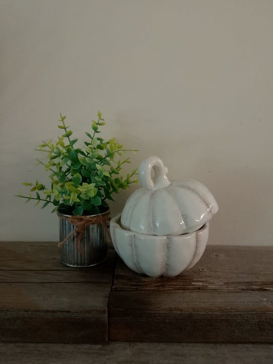 White Pumpkin Dish