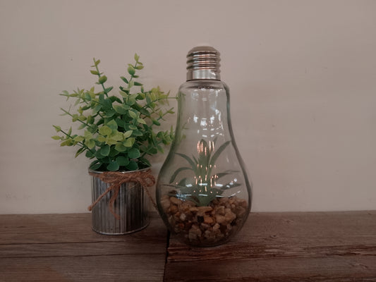 Lightbulb Terrarium