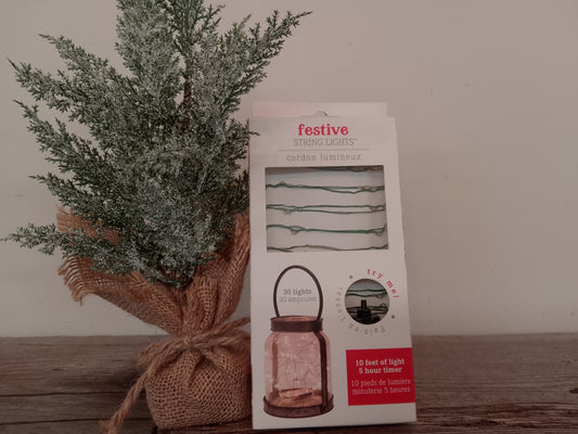 White String Lights (10')