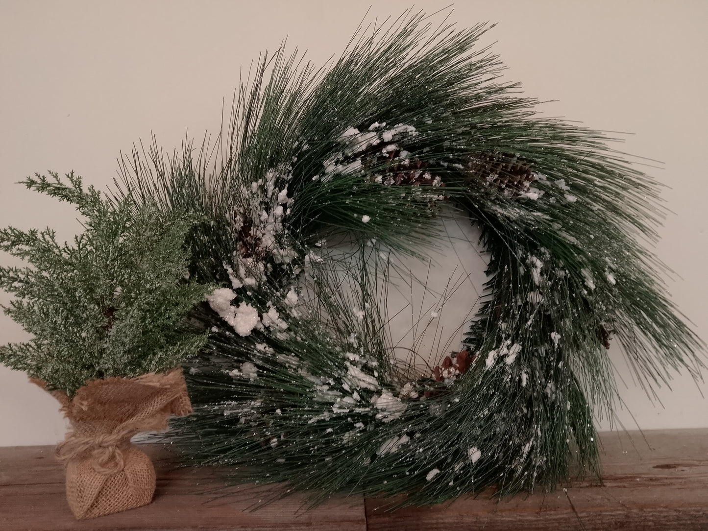 Wreath with Pine Cones/Snow
