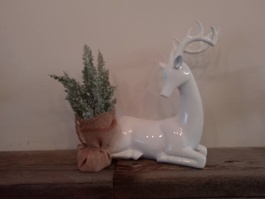 Large white reindeer