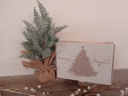"Merry Bright" Gift Box