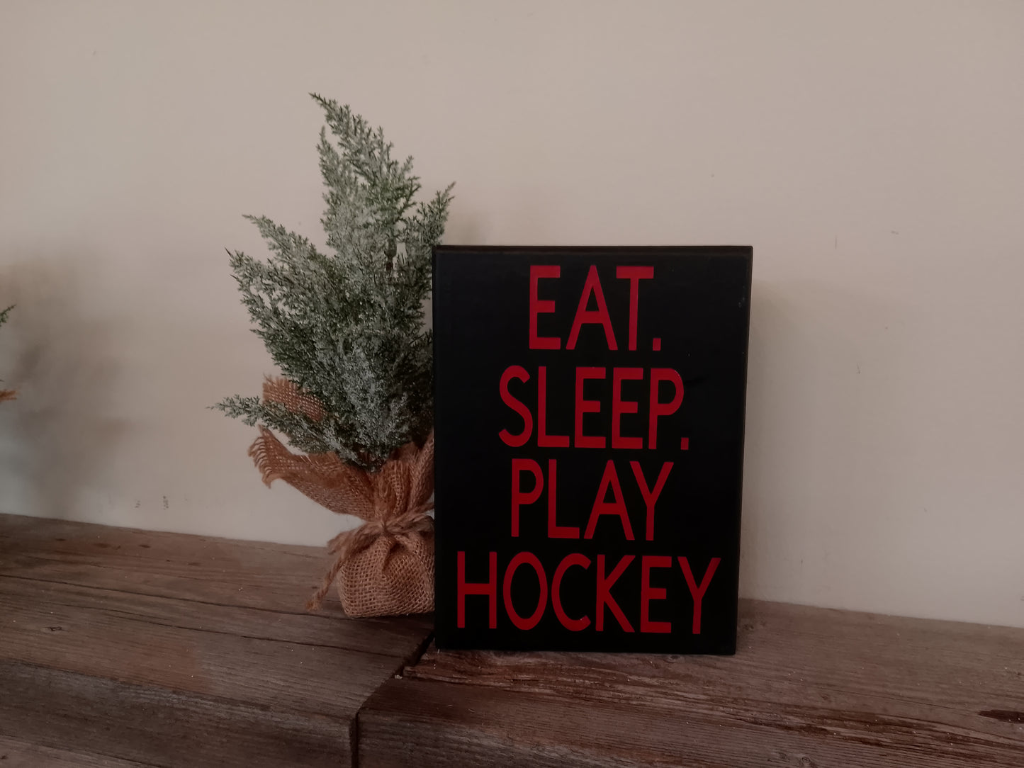 “Eat Sleep Play Hockey” Black/RedSign