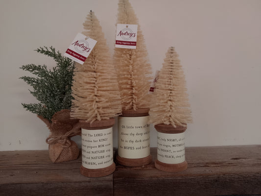 Christmas Carol Bottle Brush Trees Bottle (Set of Three)