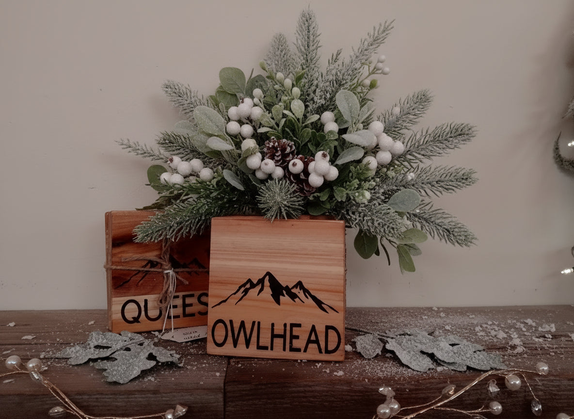 “Sledding” Coasters Set of 4